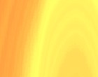 single bonn