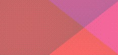 web designer bonn